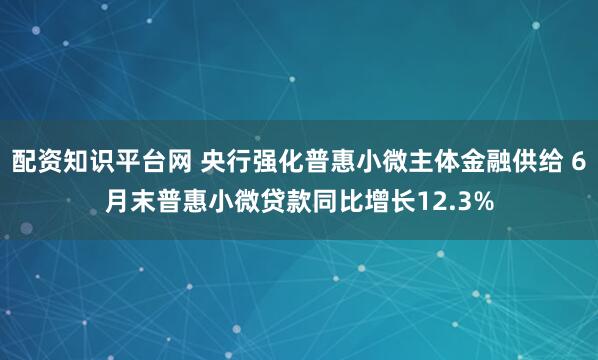 配资知识平台网 央行强化普惠小微主体金融供给 6月末普惠小微贷款同比增长12.3%