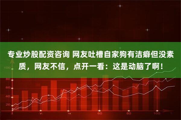 专业炒股配资咨询 网友吐槽自家狗有洁癖但没素质，网友不信，点开一看：这是动脑了啊！