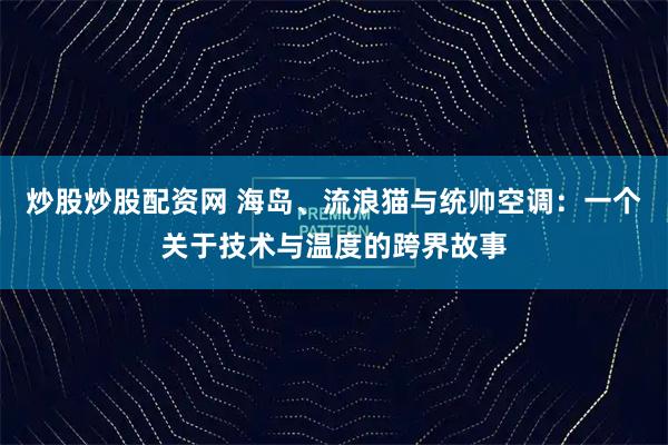 炒股炒股配资网 海岛、流浪猫与统帅空调：一个关于技术与温度的跨界故事